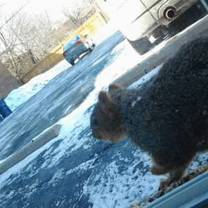 Sloth (USA-2) : 3-16-14